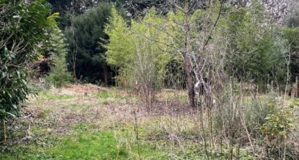 Triel-sur-Seine Maison neuve - 2087107-11143annonce120250221gkLVV.jpeg Maisons Evolution