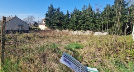 Sannois Maison neuve - 2111675-11142annonce2202503195Aiqe.jpeg Maisons Evolution