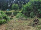 Maison à construire à Souppes-sur-Loing (77460) 2103060-11229annonce1202503116RDiF.jpeg Maisons Evolution