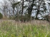 Terrain à bâtir à Mareil-le-Guyon (78490) 2149595-11365annonce420250506OXSPI.jpeg Maisons Evolution