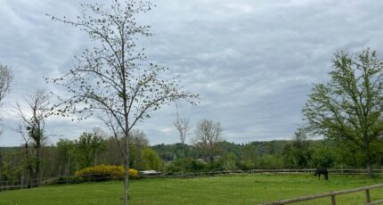 Chevreuse Maison neuve - 2149976-11364annonce320250506Ta438.jpeg Maisons Evolution