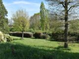 Maison à construire à Thoiry (78770) 2156634-11365annonce120250514b57cT.jpeg Maisons Evolution