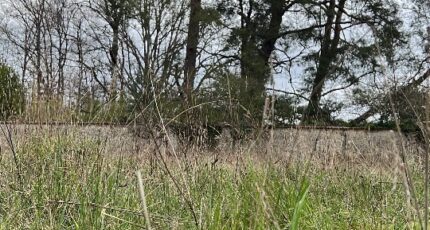 Arpajon Maison neuve - 2169114-11365annonce12025052316RNI.jpeg Maisons Evolution