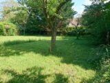 Maison à construire à Chalifert (77144) 2147985-10844annonce120250503pRTGk.jpeg Maisons Evolution