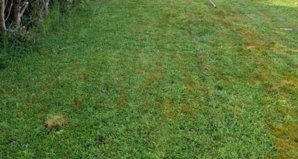 Saint-Fargeau-Ponthierry Maison neuve - 2147983-11229annonce220250503TokDh.jpeg Maisons Evolution
