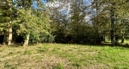 Montcourt-Fromonville Maison neuve - 2103181-11229annonce120250311zuFVD.jpeg Maisons Evolution