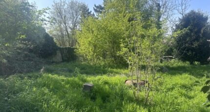 Viarmes Maison neuve - 2146879-11142annonce1202505021i76K.jpeg Maisons Evolution