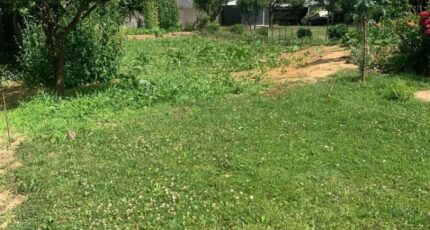 Brie-Comte-Robert Maison neuve - 2290697-11657annonce120251002NJqT6.jpeg Maisons Evolution