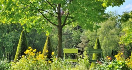 Pomponne Terrain à bâtir - 2258252-10844annonce120250902P7s2w.jpeg Maisons Evolution