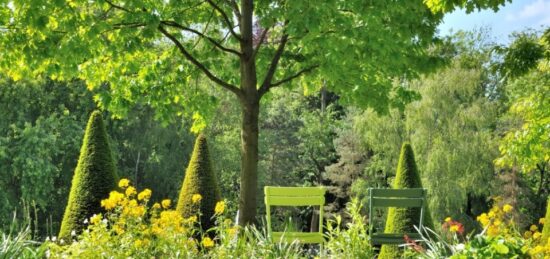 Terrain à bâtir à Pomponne, Île-de-France