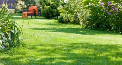 Lagny-sur-Marne Maison neuve - 2255171-10844annonce1202508307siA2.jpeg Maisons Evolution