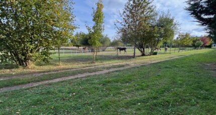 Thoiry Maison neuve - 2299870-11643annonce120251009XDuu8.jpeg Maisons Evolution