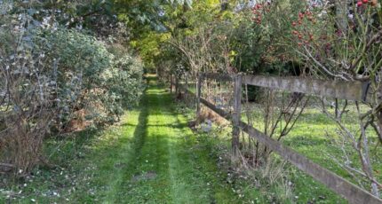 Thoiry Maison neuve - 2301134-11643annonce120251009lGdBW.jpeg Maisons Evolution