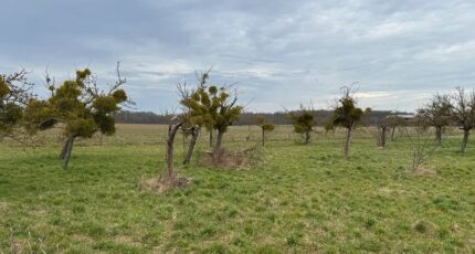 Bû Maison neuve - 2309030-11364annonce220251017fTBnB.jpeg Maisons Evolution