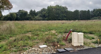 La Ferté-Alais Maison neuve - 2313780-11665annonce120251022aRov3.jpeg Maisons Evolution