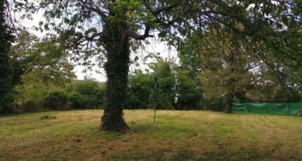 Palaiseau Maison neuve - 2314723-11665annonce120251023Jl0cT.jpeg Maisons Evolution