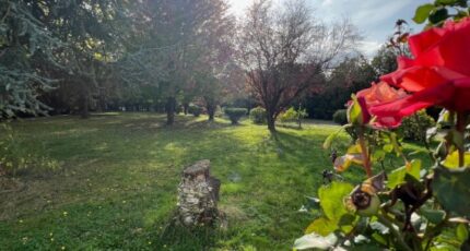 Beynes Maison neuve - 2301665-11364annonce220251010eNFI6.jpeg Maisons Evolution