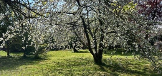 Terrain à bâtir à , Yvelines