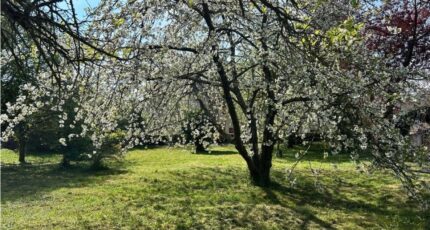 Mareil-le-Guyon Maison neuve - 2273474-11364annonce220250916TED9G.jpeg Maisons Evolution