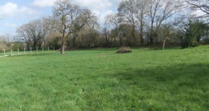 Béhoust Maison neuve - 2273377-11364annonce320250916xdOCp.jpeg Maisons Evolution