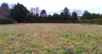 Liverdy-en-Brie Maison neuve - 2343635-11657annonce1202511200AI2T.jpeg Maisons Evolution