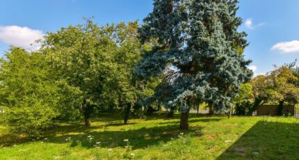 Blandy Maison neuve - 2317269-11657annonce220251024G8r43.jpeg Maisons Evolution