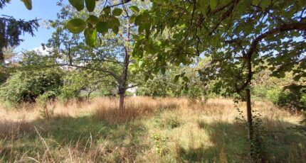 Saint-Leu-la-Forêt Terrain à bâtir - 2287223-11142annonce120250929ceWTe.jpeg Maisons Evolution