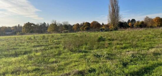 Terrain à bâtir à Marines, Île-de-France