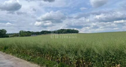 Mézy-sur-Seine Maison neuve - 2289733-11142annonce1202510019mp7i.jpeg Maisons Evolution