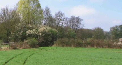 Cormeilles-en-Parisis Maison neuve - 2357958-11143annonce120251204dpSmI.jpeg Maisons Evolution