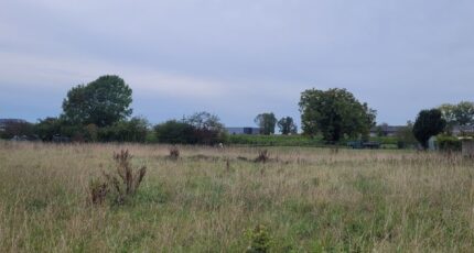 Réau Terrain à bâtir - 2299699-11657annonce120251009coOAF.jpeg Maisons Evolution