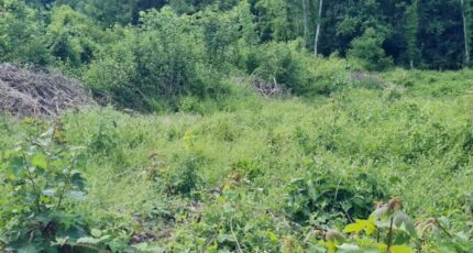 Chamigny Maison neuve - 2303673-11657annonce120251013Lktmd.jpeg Maisons Evolution