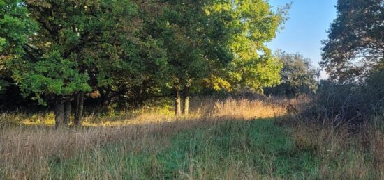 Terrain à bâtir à Vaucourtois, Île-de-France