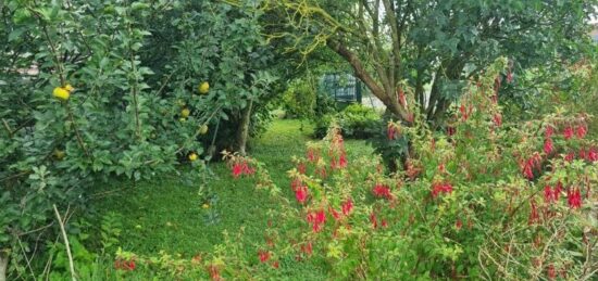 Terrain à bâtir à , Val-de-Marne