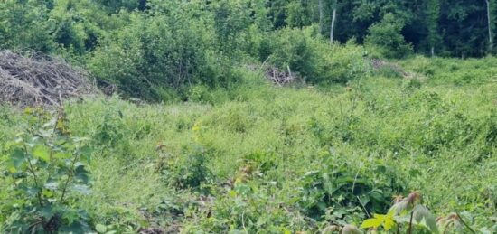 Terrain à bâtir à Vaux-le-Pénil, Île-de-France