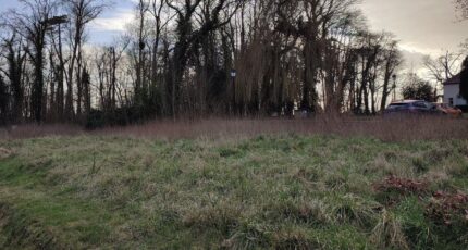 Saintry-sur-Seine Maison neuve - 2343826-11657annonce220251120eq48r.jpeg Maisons Evolution