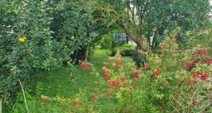 Mandres-les-Roses Maison neuve - 2321259-11657annonce220251029DmDMp.jpeg Maisons Evolution