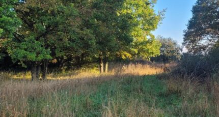 Boissise-le-Roi Maison neuve - 2366907-11657annonce220251212MVy82.jpeg Maisons Evolution