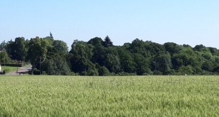 Boullay-les-Troux Terrain à bâtir - 2324517-11643annonce1202510313FhnK.jpeg Maisons Evolution