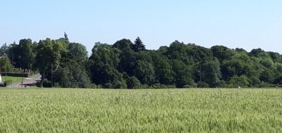 Terrain à bâtir à Boullay-les-Troux, Île-de-France