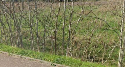 Rosny-sur-Seine Maison neuve - 2333692-11643annonce420251110g9Zx1.jpeg Maisons Evolution