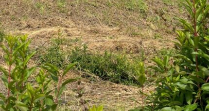 Nanterre Maison neuve - 2304845-11643annonce120251110EbDkr.jpeg Maisons Evolution