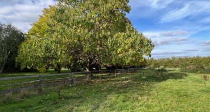 Beynes Maison neuve - 2301665-11364annonce4202510109TaNT.jpeg Maisons Evolution