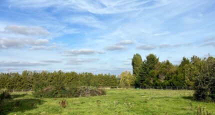 Beynes Maison neuve - 2301618-11364annonce420251010qTmeb.jpeg Maisons Evolution