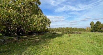 Beynes Maison neuve - 2301618-11364annonce520251010AJJHz.jpeg Maisons Evolution