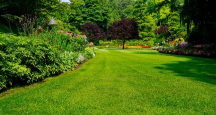 Coupvray Maison neuve - 2391686-10844annonce120260113uyy40.jpeg Maisons Evolution