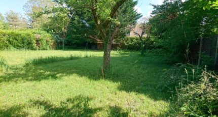 Lagny-sur-Marne Maison neuve - 2426525-10844annonce120260212FG0wP.jpeg Maisons Evolution