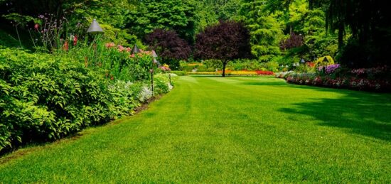 Terrain à bâtir à Coupvray, Île-de-France