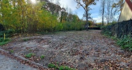 Larchant Maison neuve - 2444308-11767annonce120260228BwDpP.jpeg Maisons Evolution