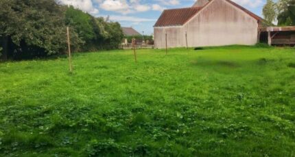 Vaudoy-en-Brie Maison neuve - 2621918-11657annonce120260907Okd1M.jpeg Maisons Evolution